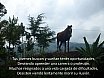 Poemas-ElSalvador