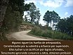 Poemas-ElSalvador