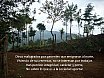 Poemas-ElSalvador