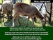 Poemas-Maria