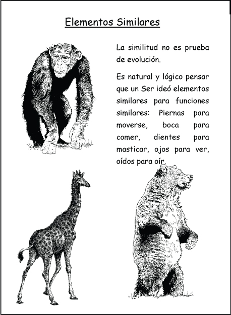 Elementos Similares