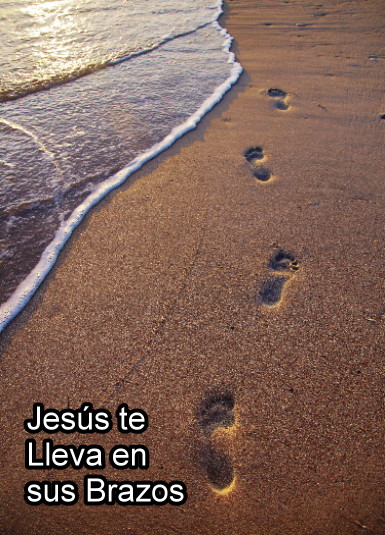 Elvela.com
